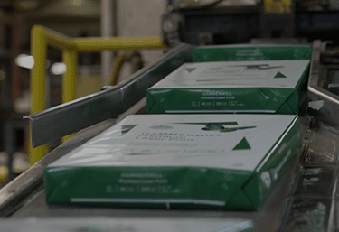 Sumter Sheeting Plant