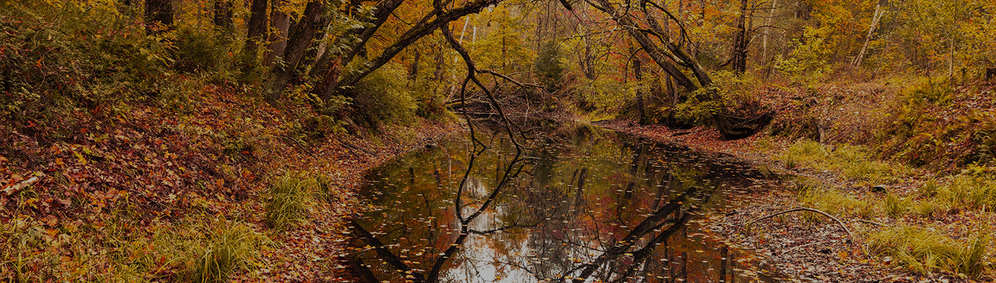 Nos Valeurs Environnementales