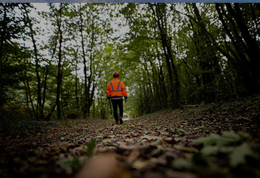 Le Comptoir des Bois de Brive