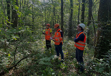 Sylvamo Forêt Services