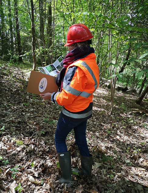 Sylvamo Forêt Services
