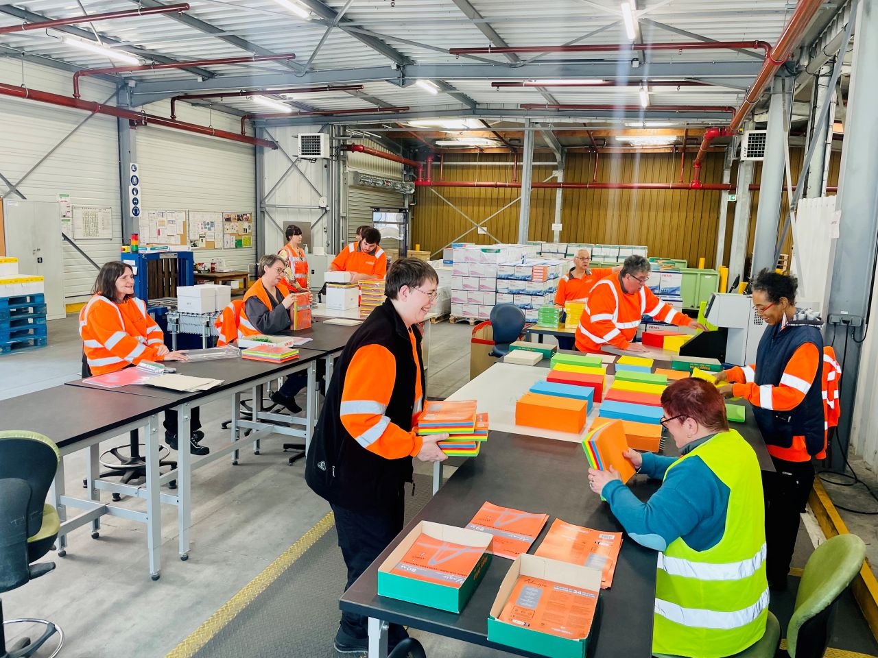 ���ĺ���APP Advances People with Disabilities Focus in Europe