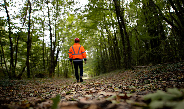 Le Comptoir des Bois de Brive