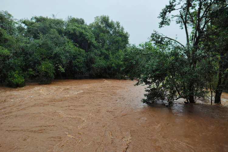 Sylvamo Supports Flood Victims in Brazil