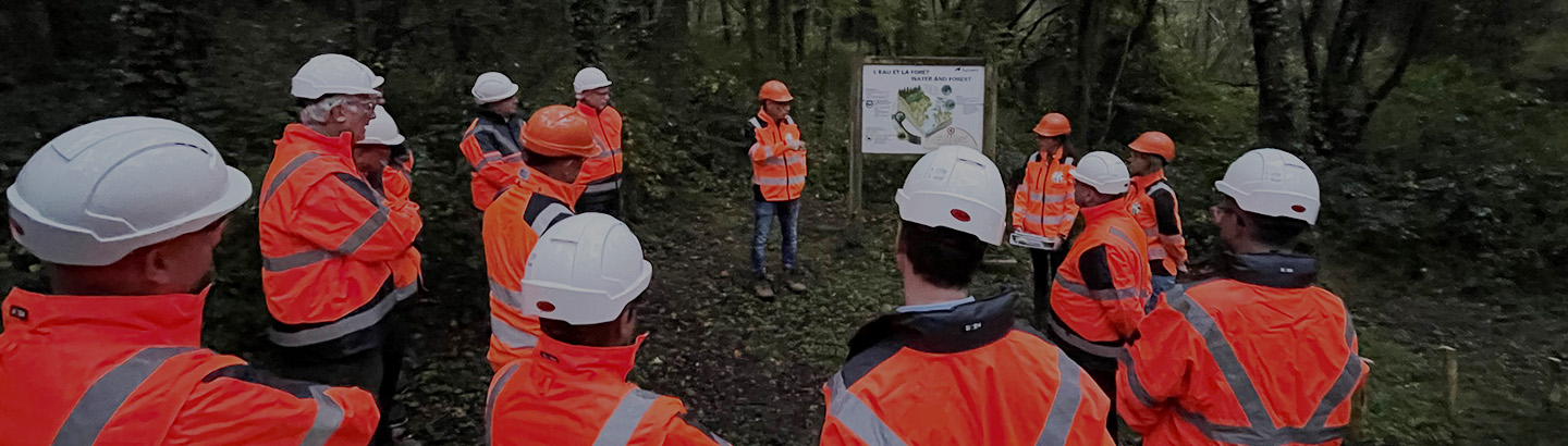 Notre expertise auprès des entreprises