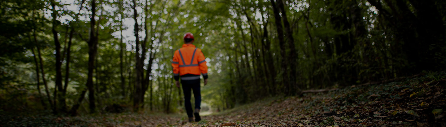 Le Comptoir des Bois de Brive