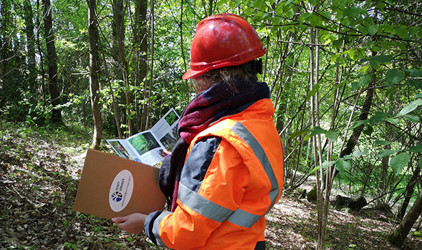 Sylvamo Forêt Services