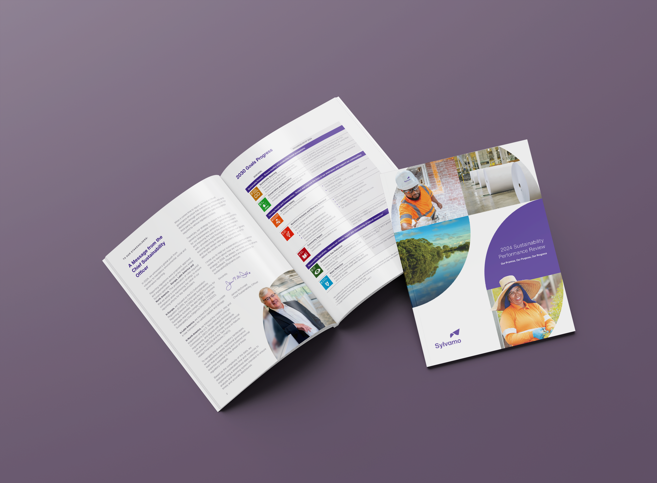 Nosso progresso, nossa promessa: análise do desempenho de sustentabilidade da ���ĺ���APP em 2024